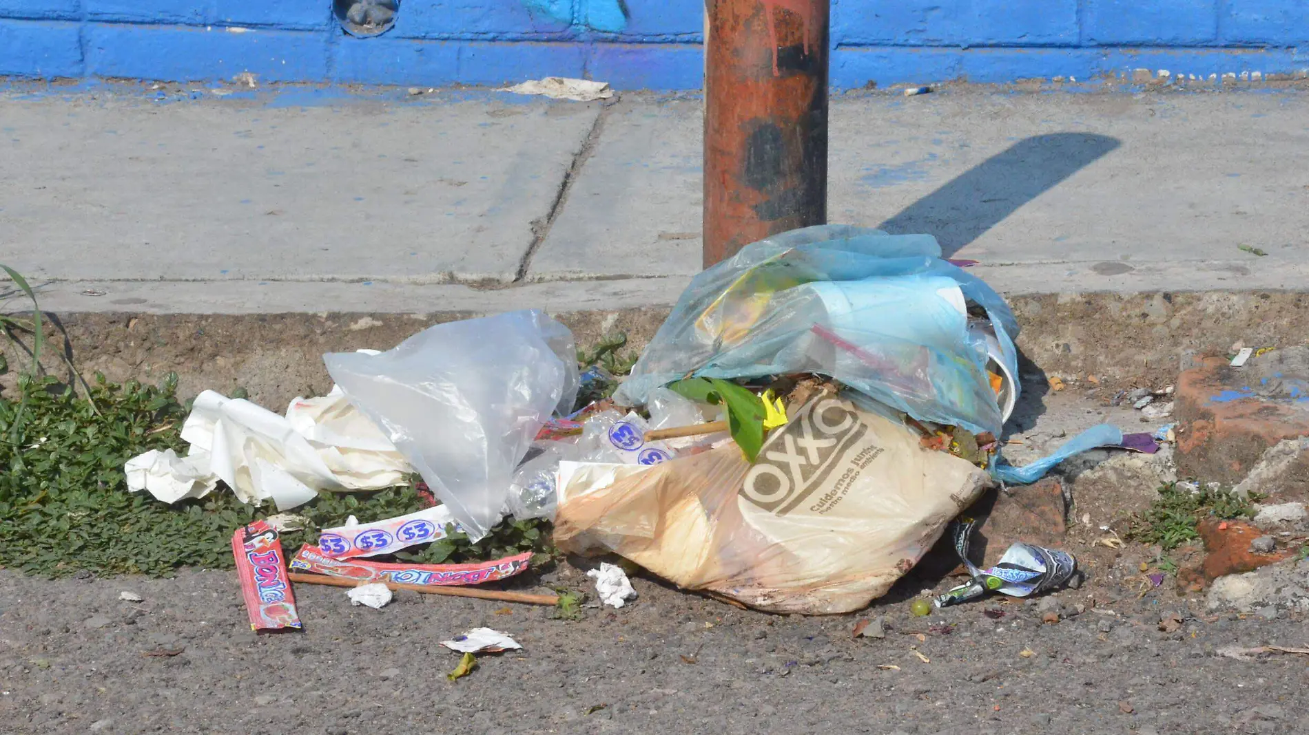 Los afectados manifestaron que los desechos se proliferan debido a que los perros callejeros rompen las bolsas.